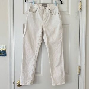 Everlane The High Rise Straight Jean